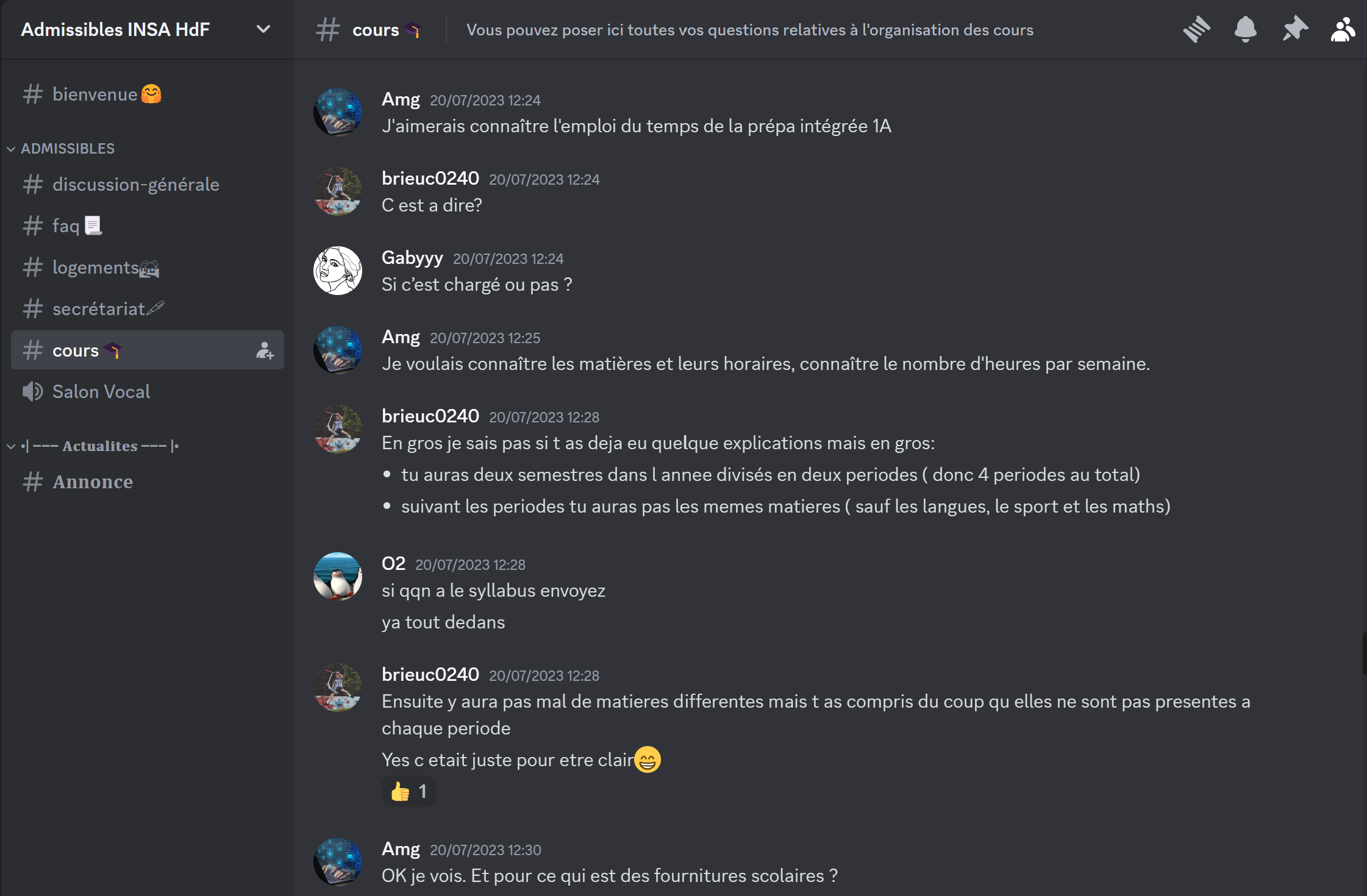 Screenshot du iscord des admissibles