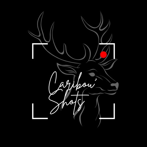 Caribou'Shots