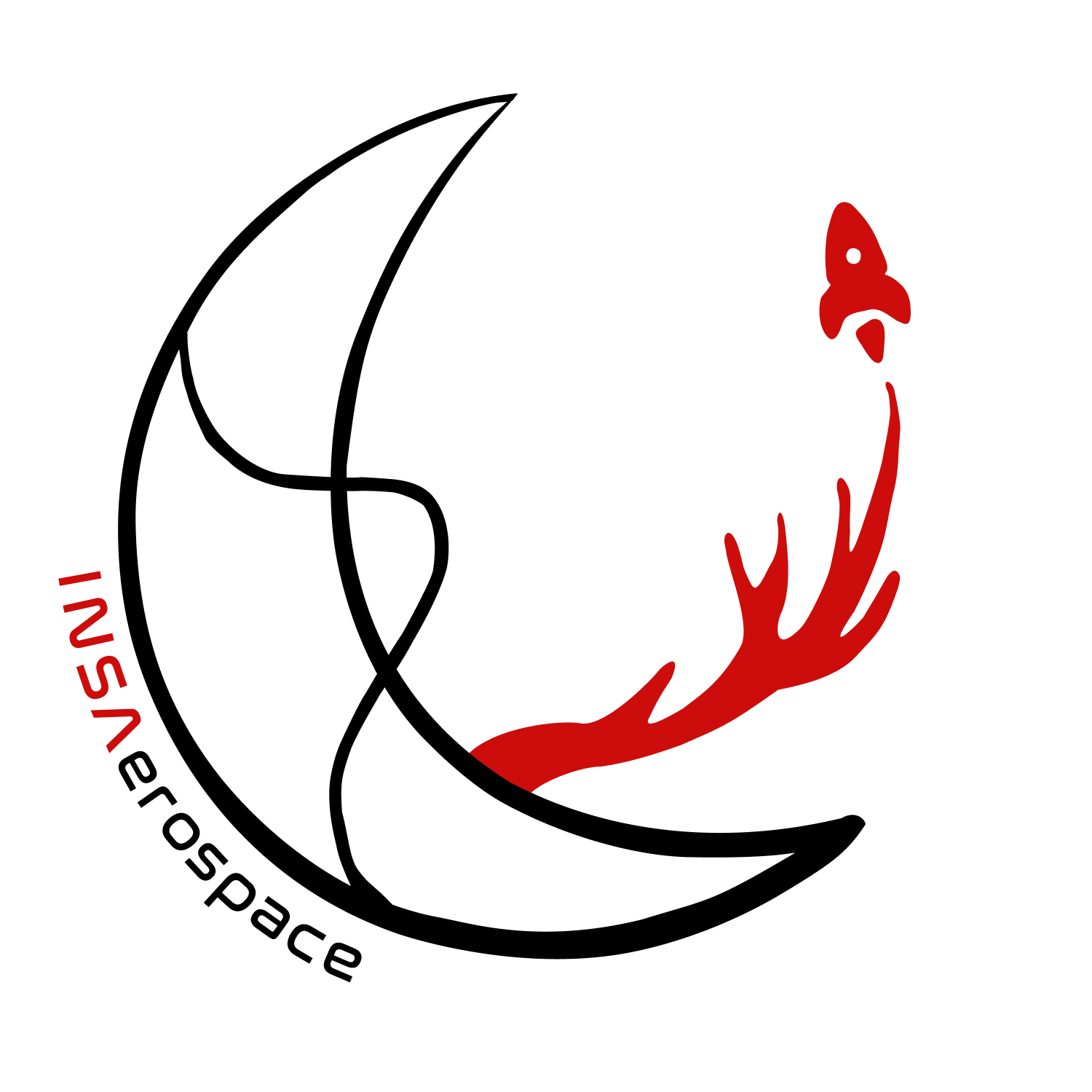 INSAerospace